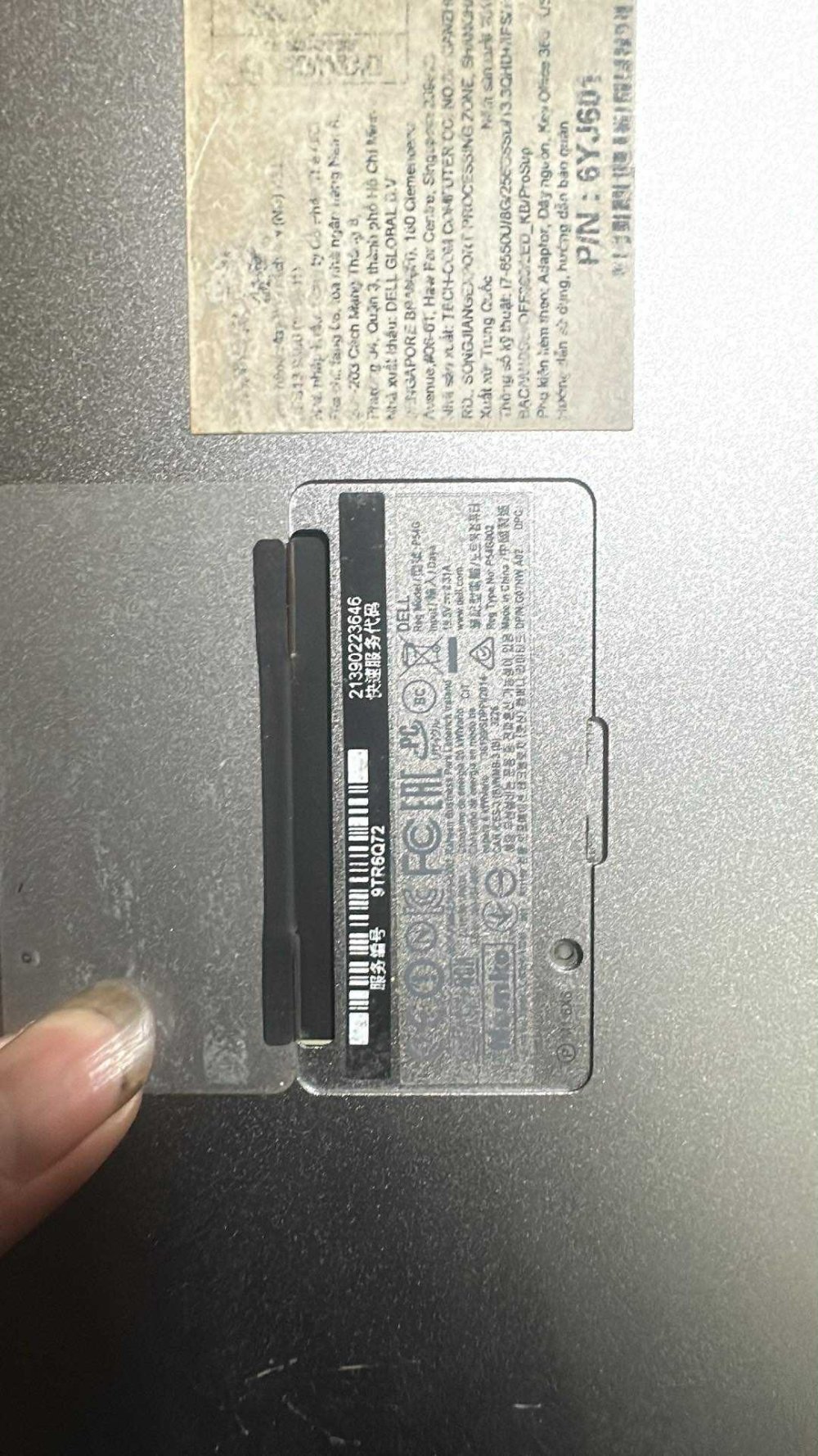1.jpg